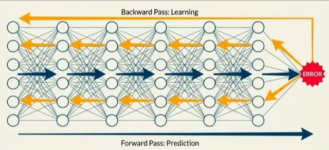 HBF_2.Forward,Backward Pass.png