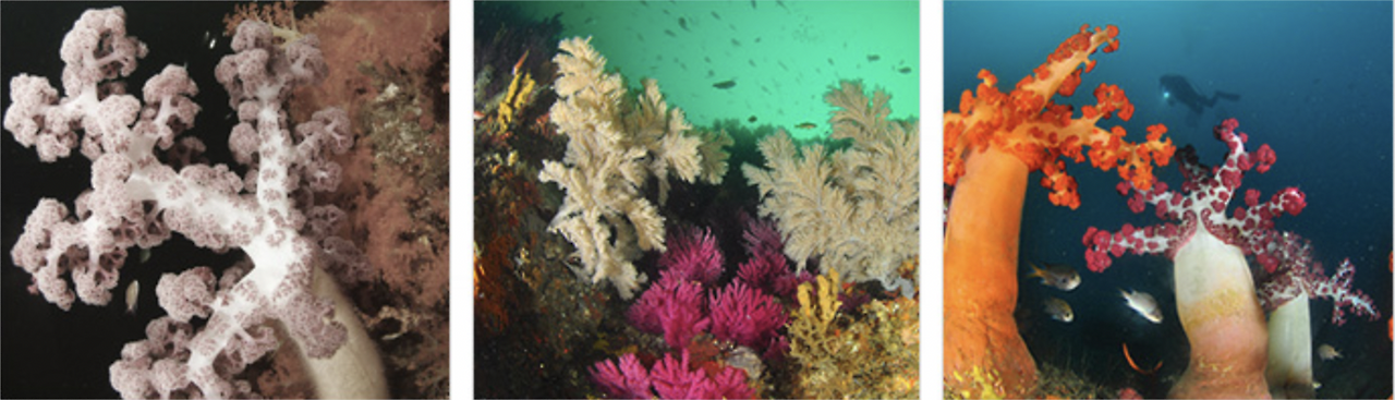 스크린샷 2022-09-23 오후 11.27.18.png