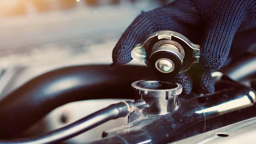 내차관리 냉각수_20240111_주입구.png