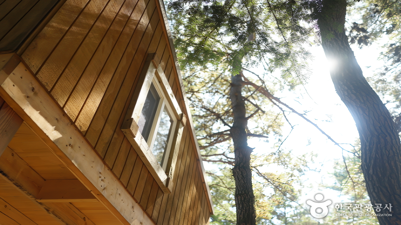 7. 평창 아트 인 아일랜드 (출처 한국관광공사).png.png