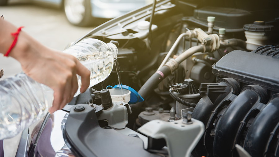 내차관리 냉각수_20240111_8.png