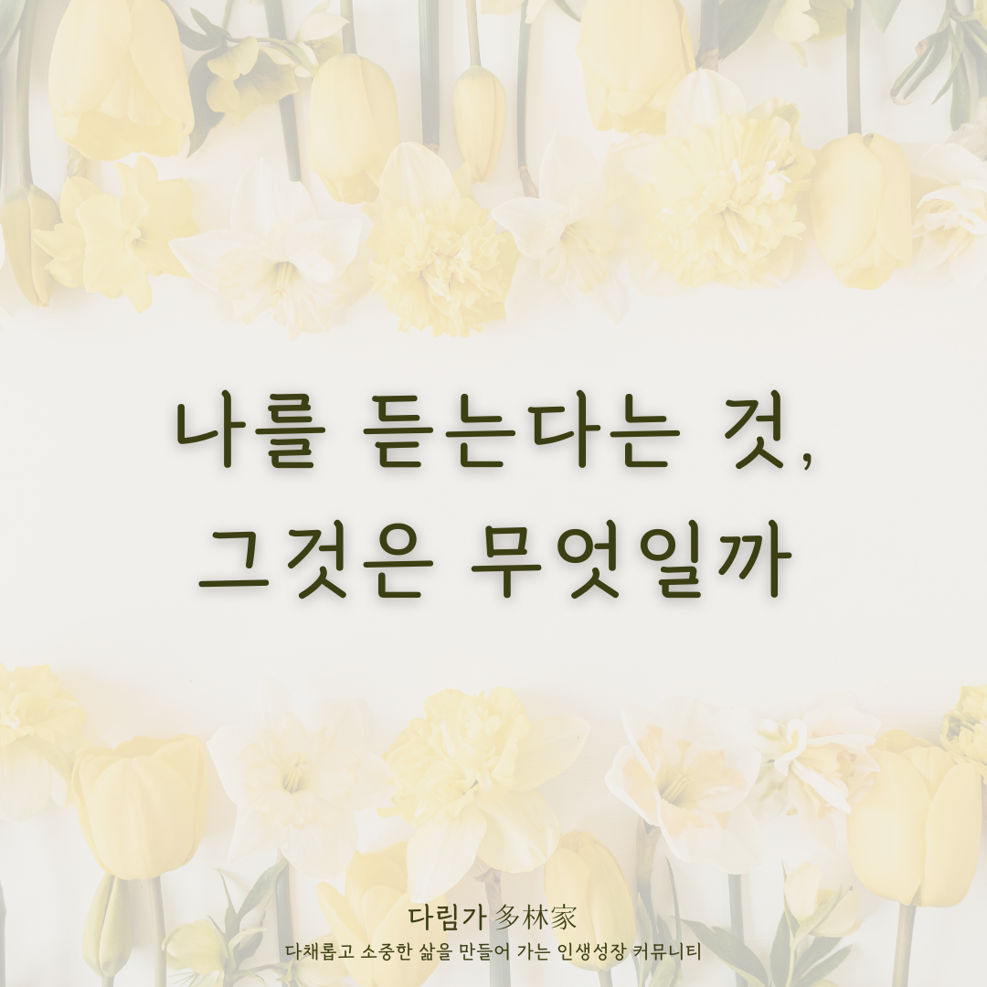 우마시 6주 2기_2406 시작.png