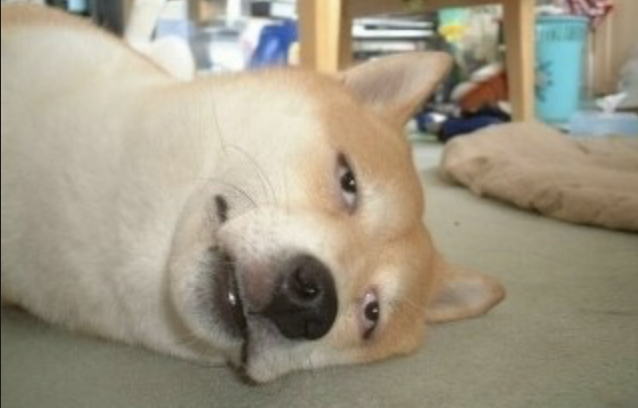 스크린샷 2019-06-13 오후 8.49.36.png