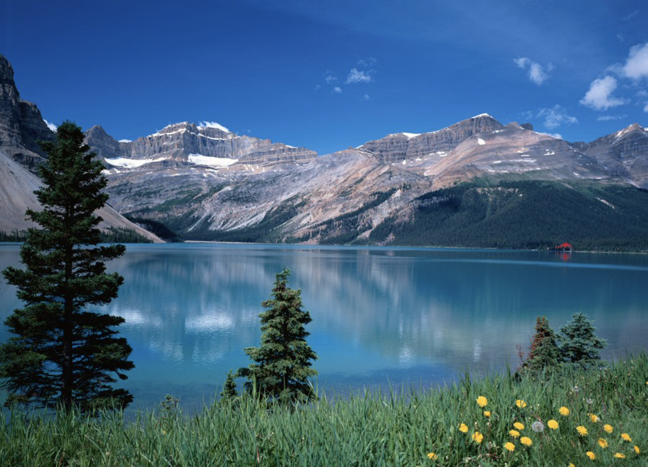 스크린샷 2018-04-26 오후 4.16.23.png