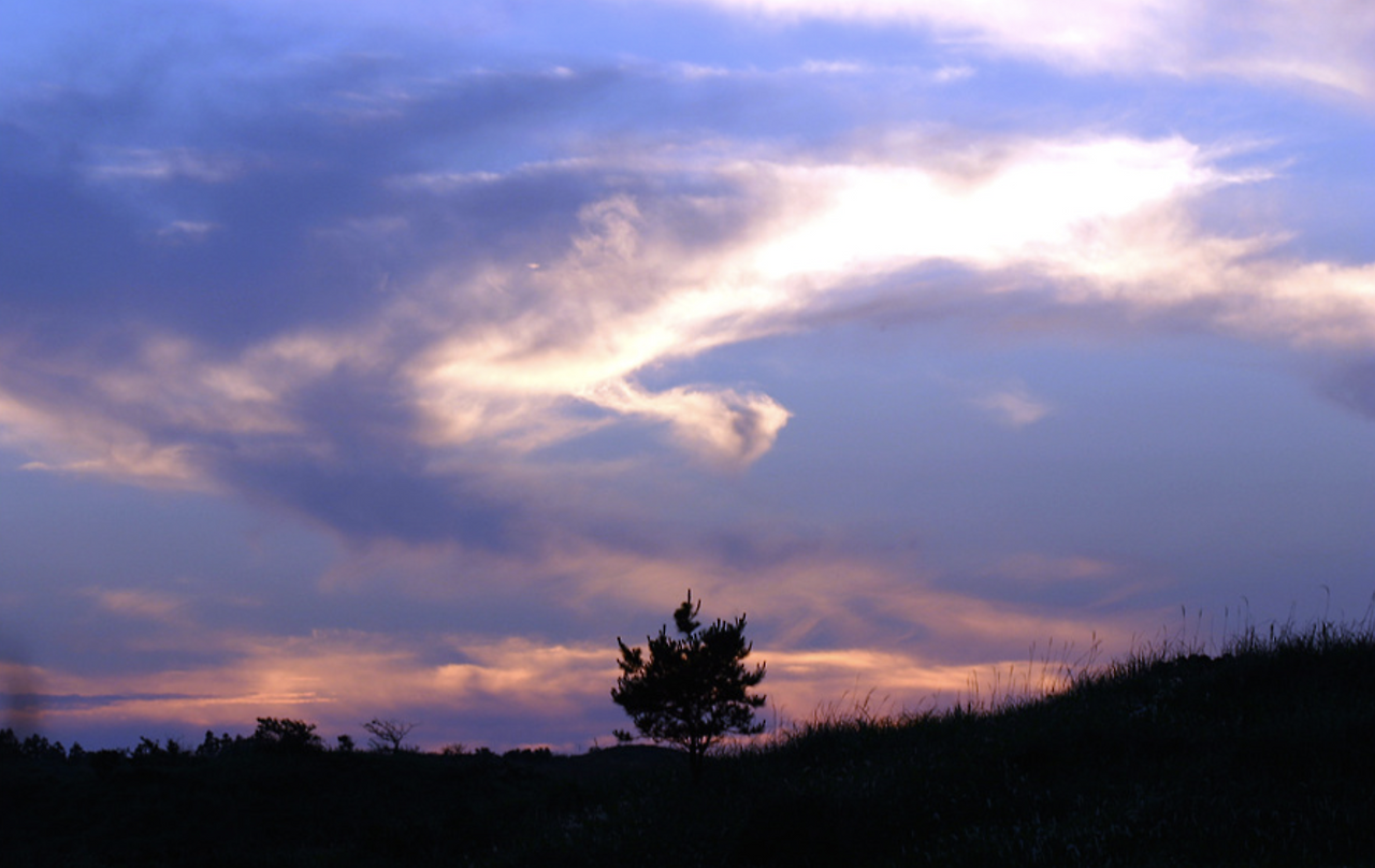 스크린샷 2019-06-10 오후 12.20.13.png