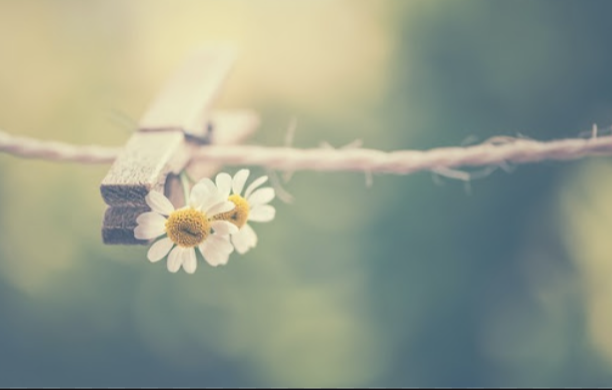 스크린샷 2020-06-01 오후 9.30.14.png