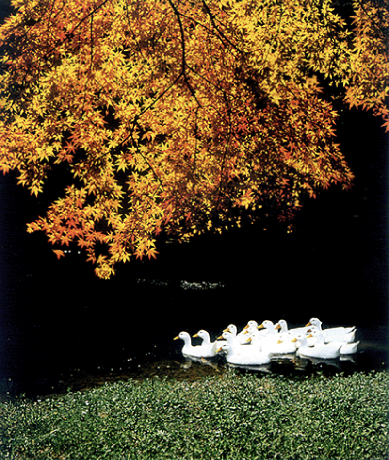 스크린샷 2018-03-12 오후 7.01.47.png