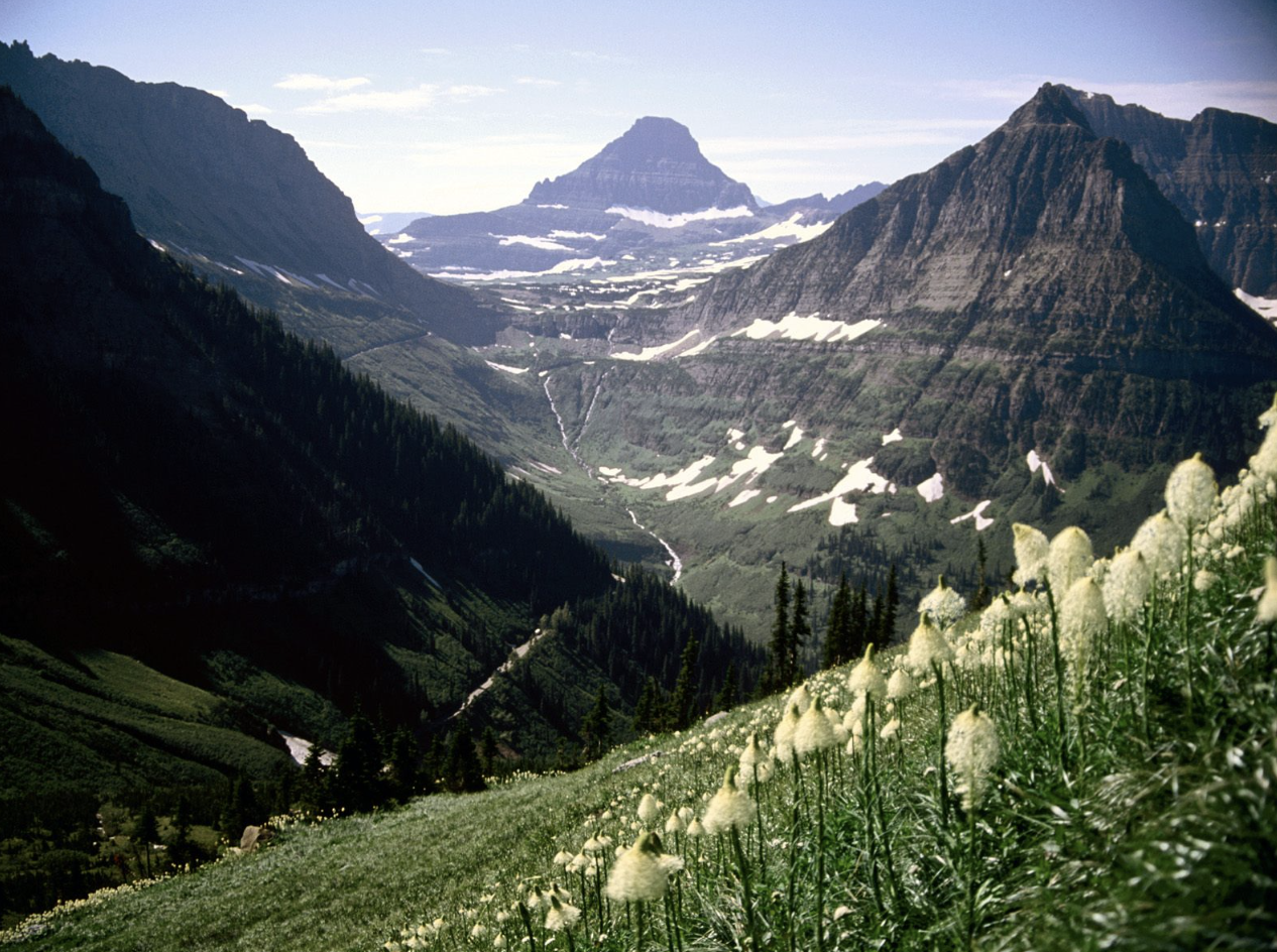 스크린샷 2018-03-04 오후 9.46.20.png