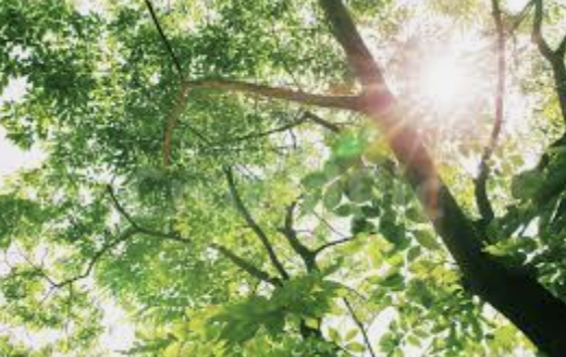 스크린샷 2022-10-28 오후 7.04.31.png