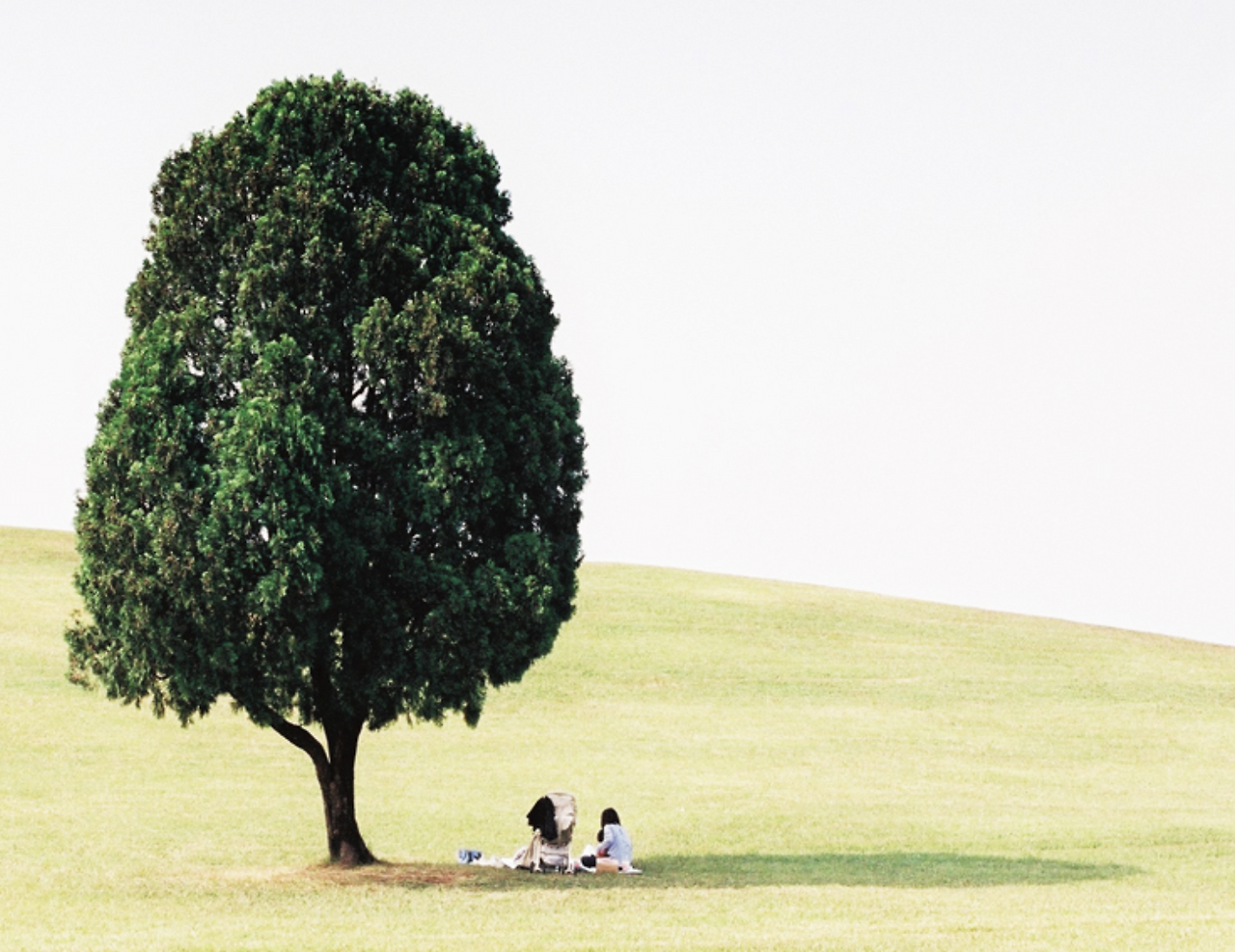 스크린샷 2019-03-29 오후 9.45.53.png