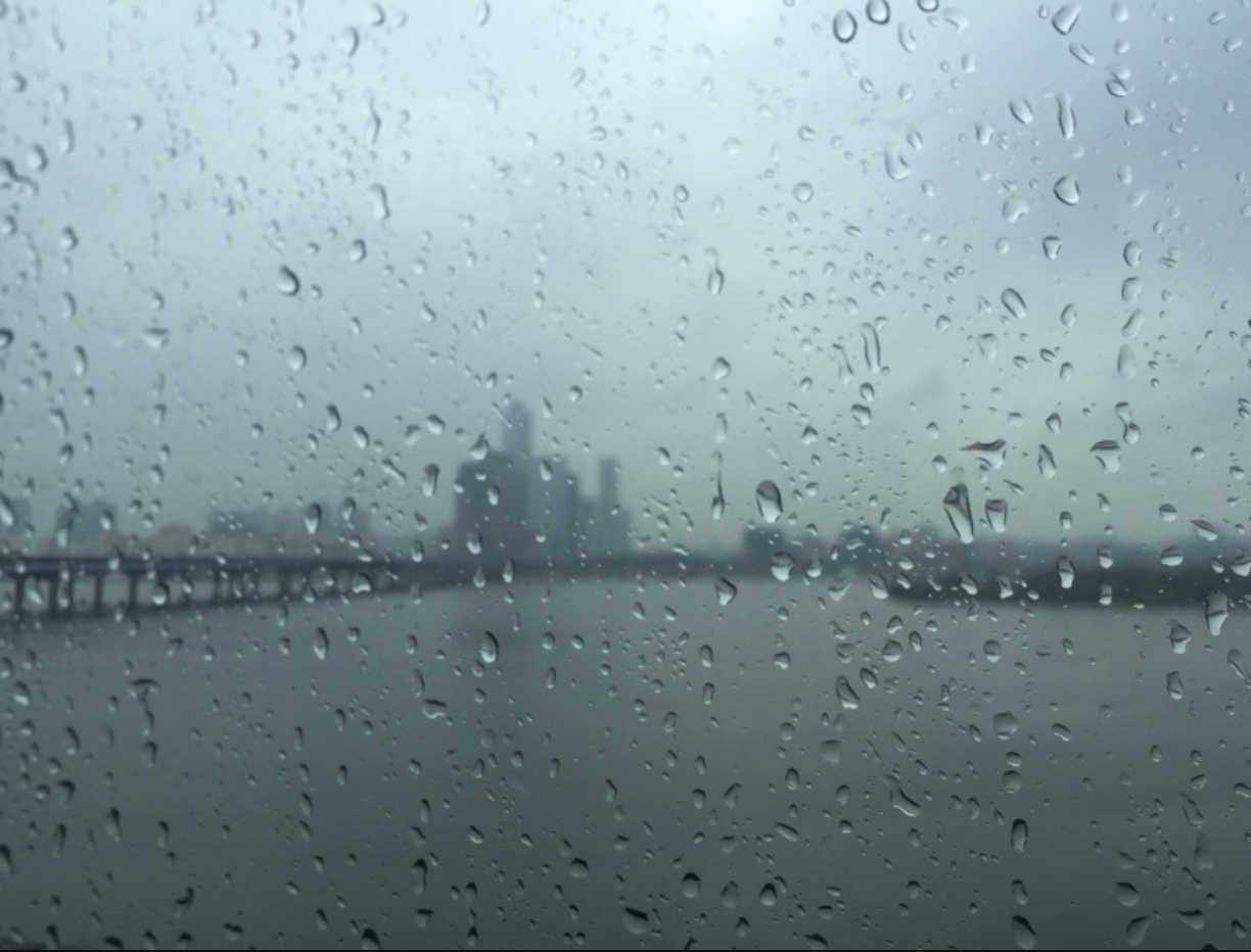 스크린샷 2019-04-15 오전 11.26.17.png