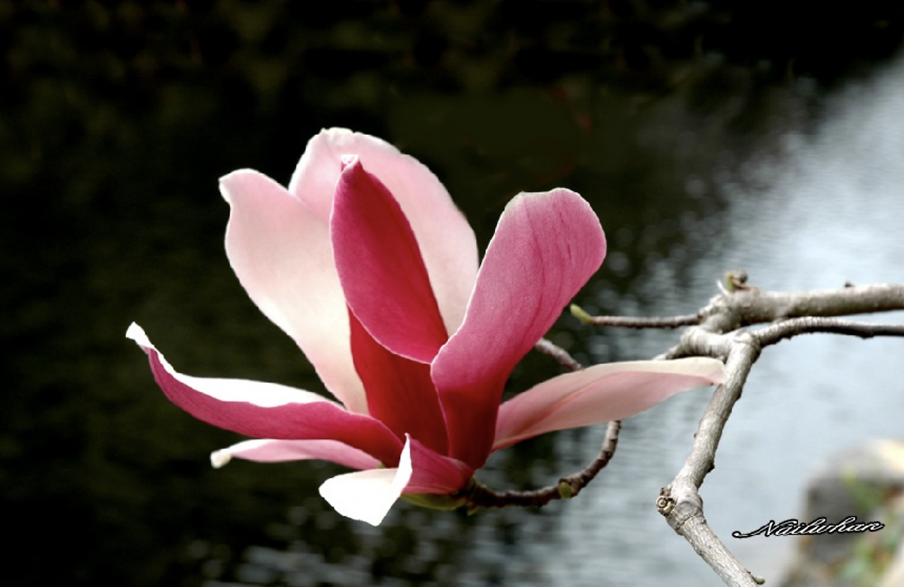 스크린샷 2018-06-12 오후 6.26.39.png