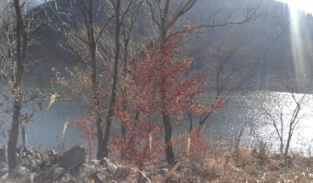 스크린샷 2020-01-30 오후 7.30.08.png