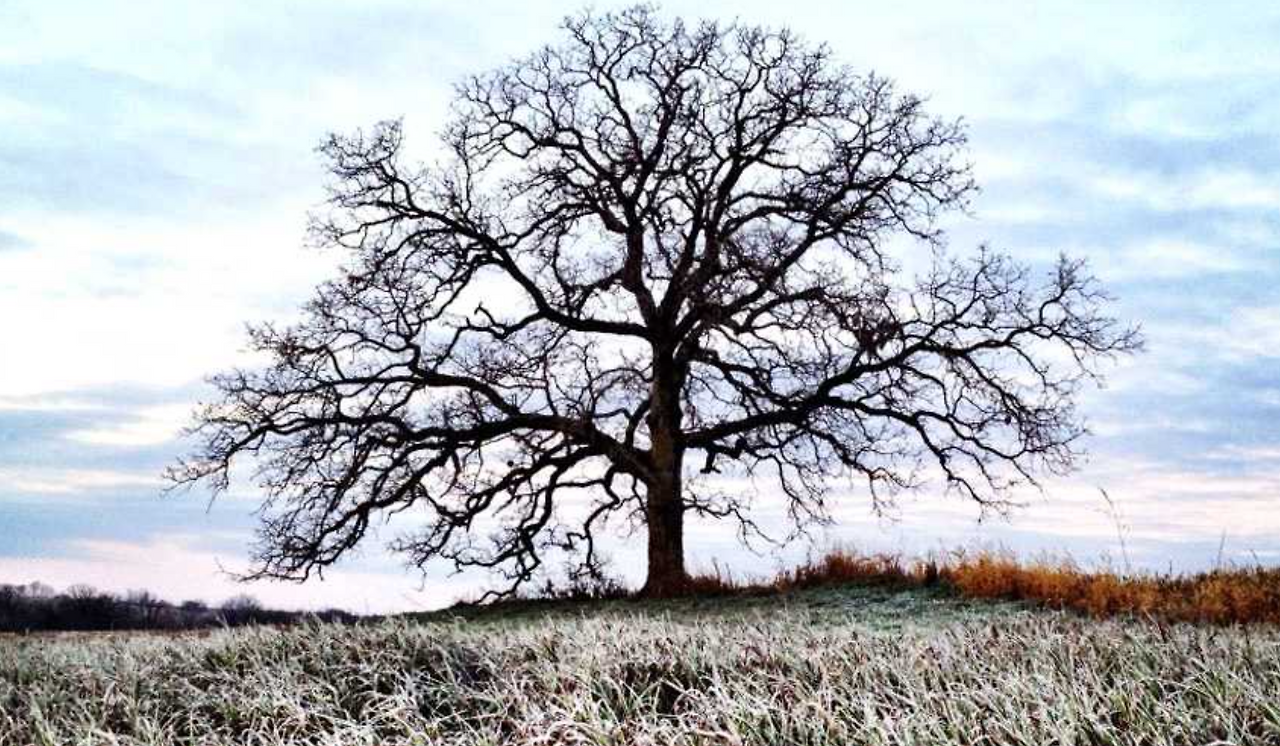 스크린샷 2018-01-28 오후 11.48.43.png