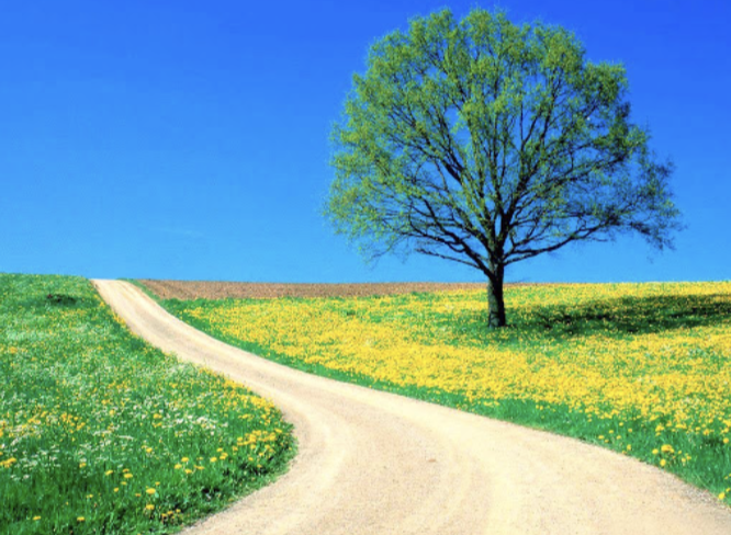 스크린샷 2020-02-27 오후 5.57.38.png