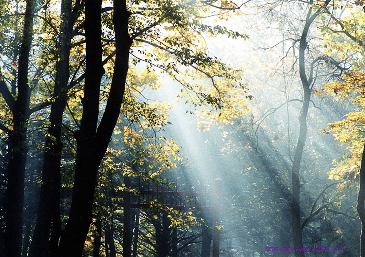 스크린샷 2018-04-30 오후 8.52.16.png