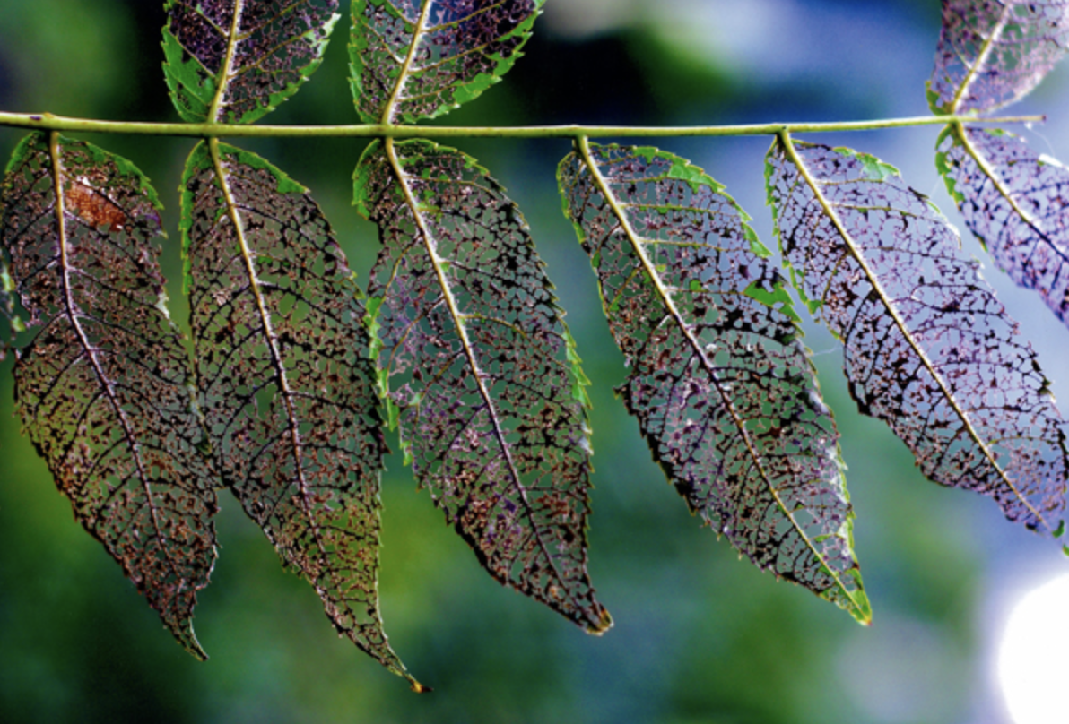 스크린샷 2018-03-12 오후 7.01.19.png