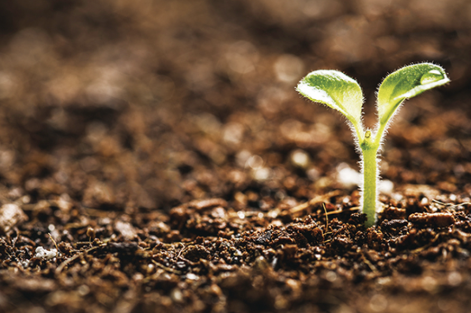 스크린샷 2020-01-21 오후 11.14.11.png