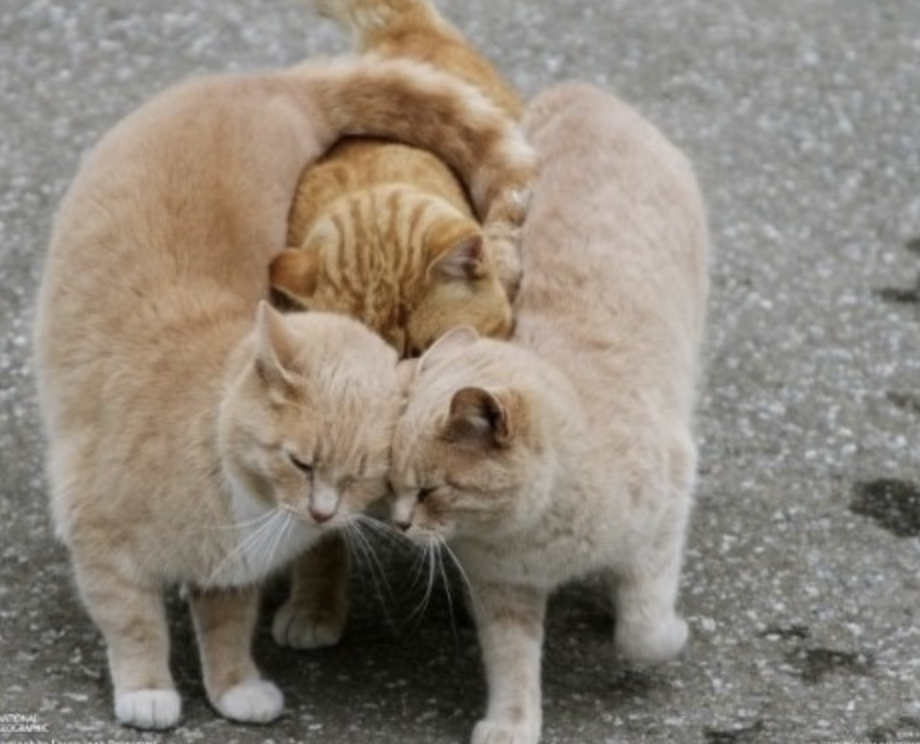 스크린샷 2019-04-15 오전 11.25.00.png