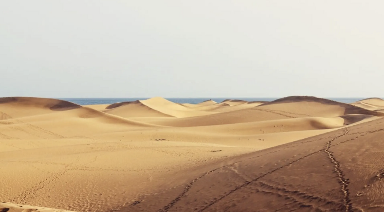 스크린샷 2025-12-24 오후 12.26.52.png