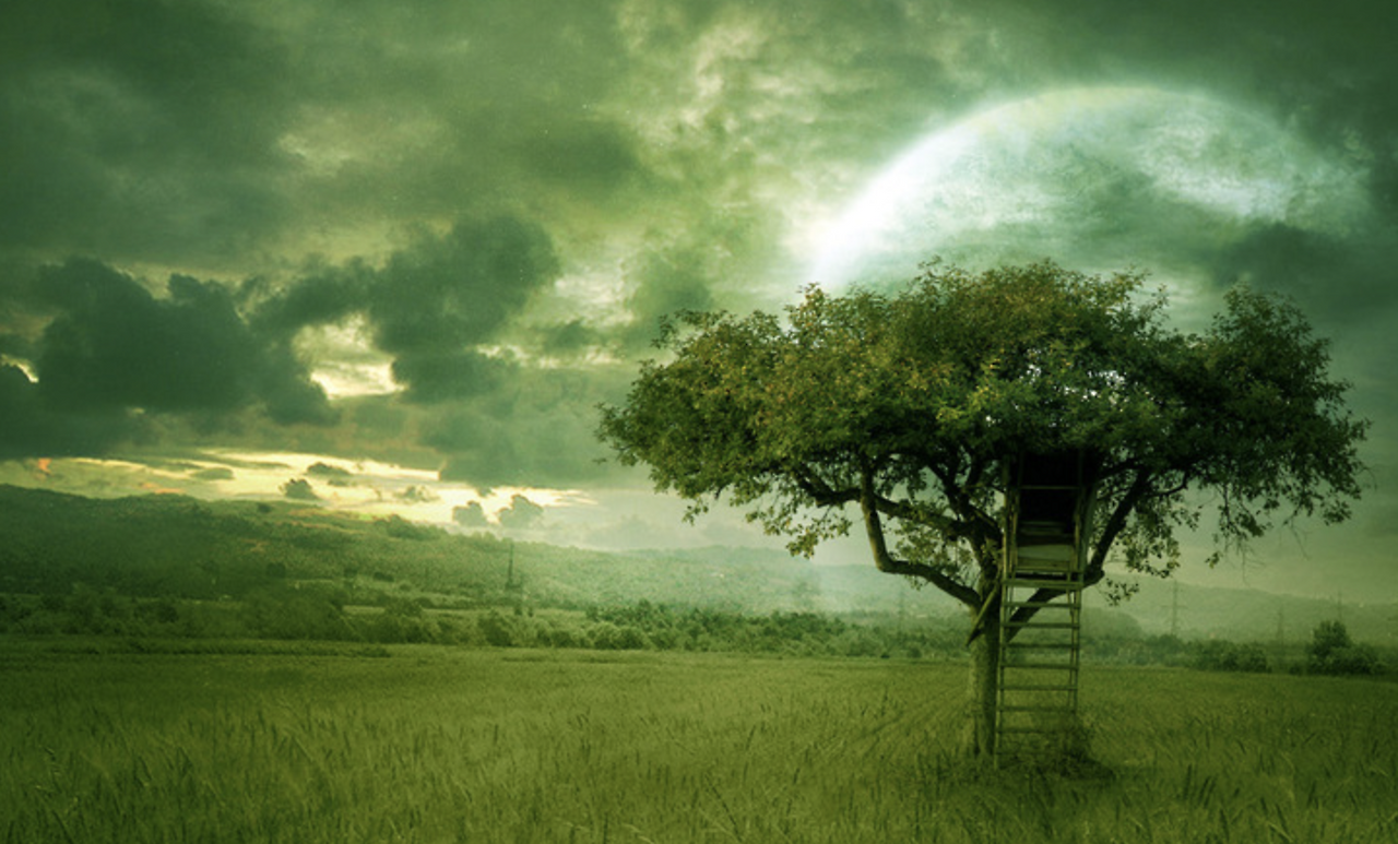 스크린샷 2018-05-17 오후 7.52.47.png