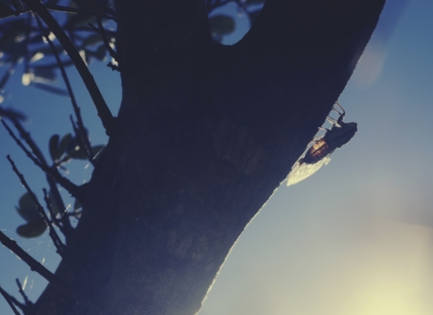 스크린샷 2020-01-21 오후 11.18.24.png