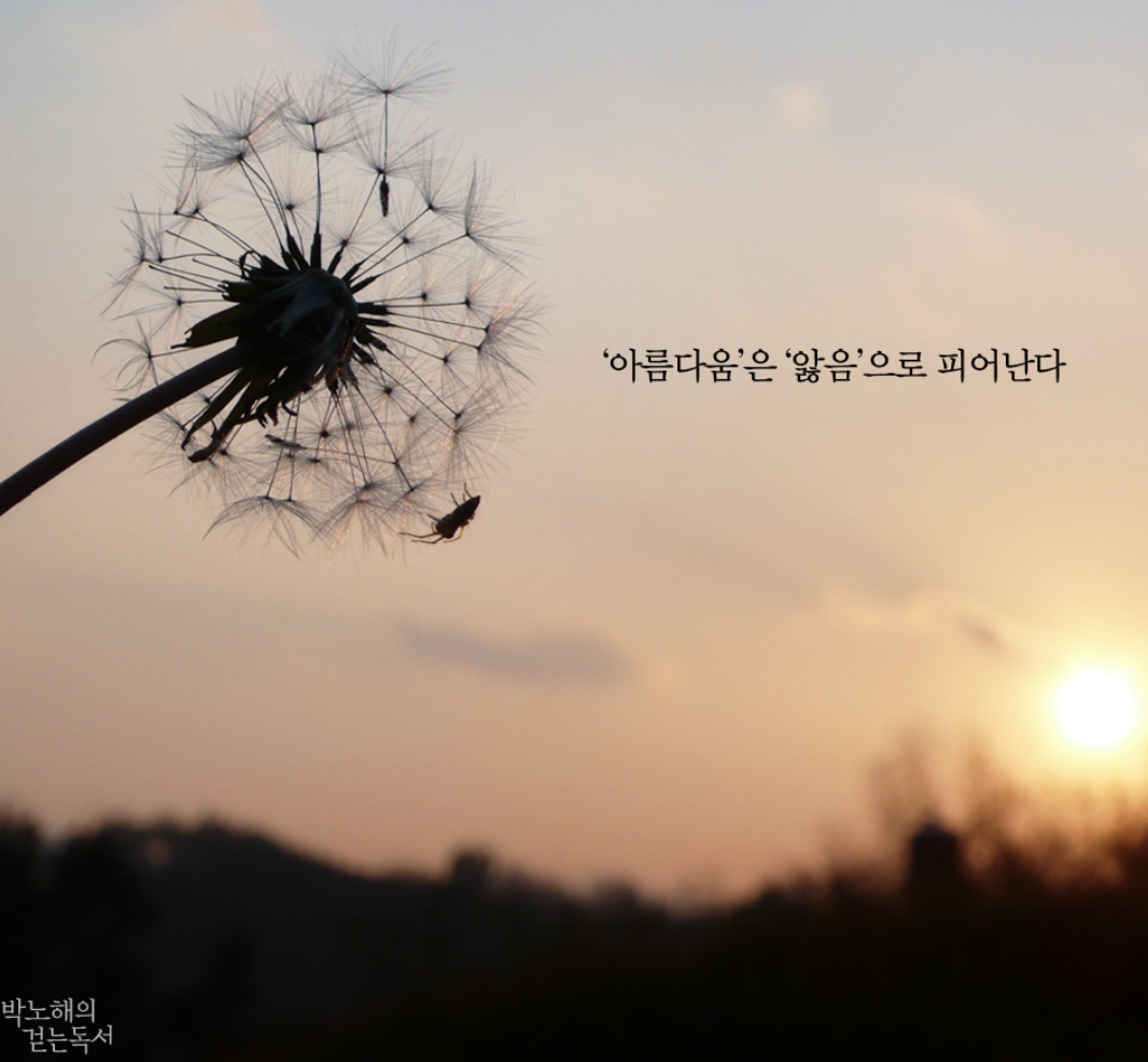 스크린샷 2020-10-22 오후 6.15.11.png