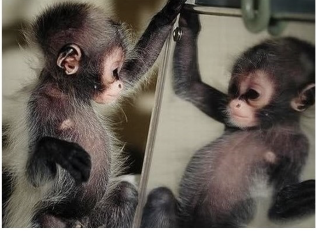 스크린샷 2018-03-05 오후 7.13.00.png