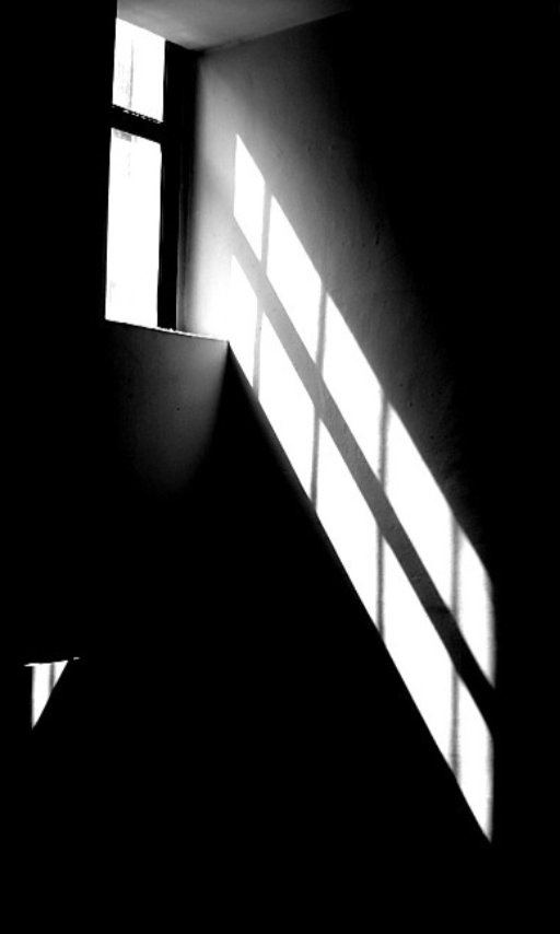 스크린샷 2020-03-10 오전 11.29.26.png