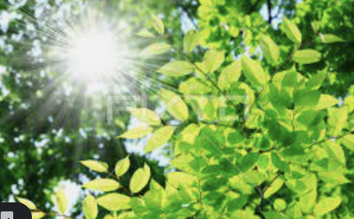 스크린샷 2022-10-23 오후 4.39.45.png