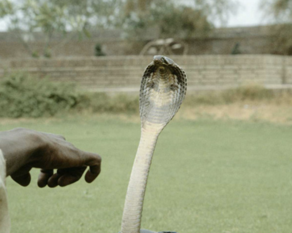 스크린샷 2019-06-28 오후 11.32.50.png