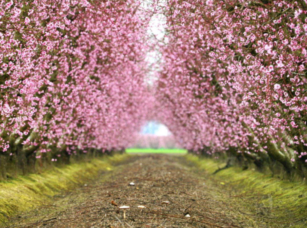 스크린샷 2020-01-10 오전 11.35.19.png