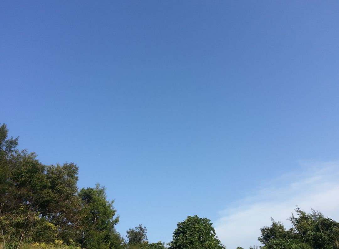 스크린샷 2019-11-06 오후 12.31.59.png