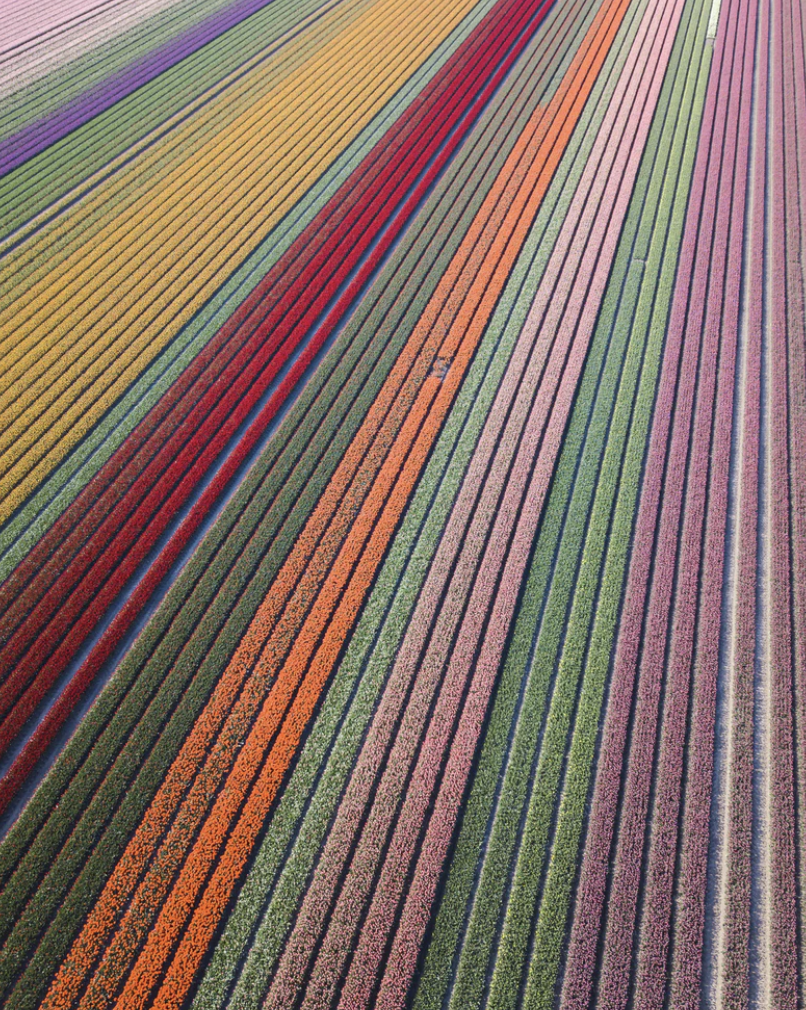 스크린샷 2019-04-24 오후 12.45.11.png