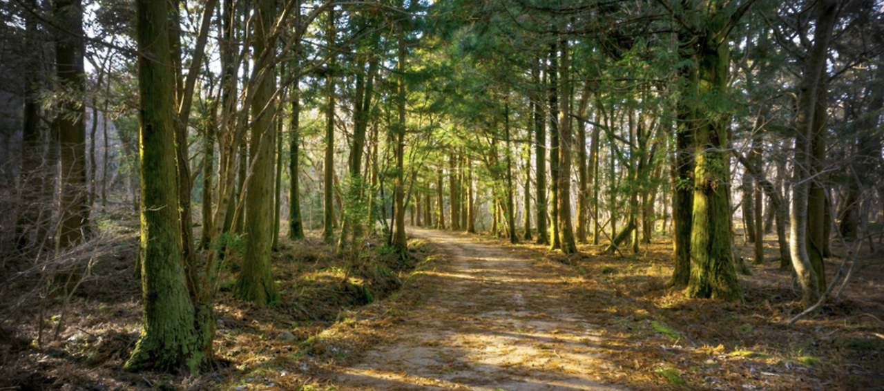 스크린샷 2020-01-30 오후 7.29.46.png