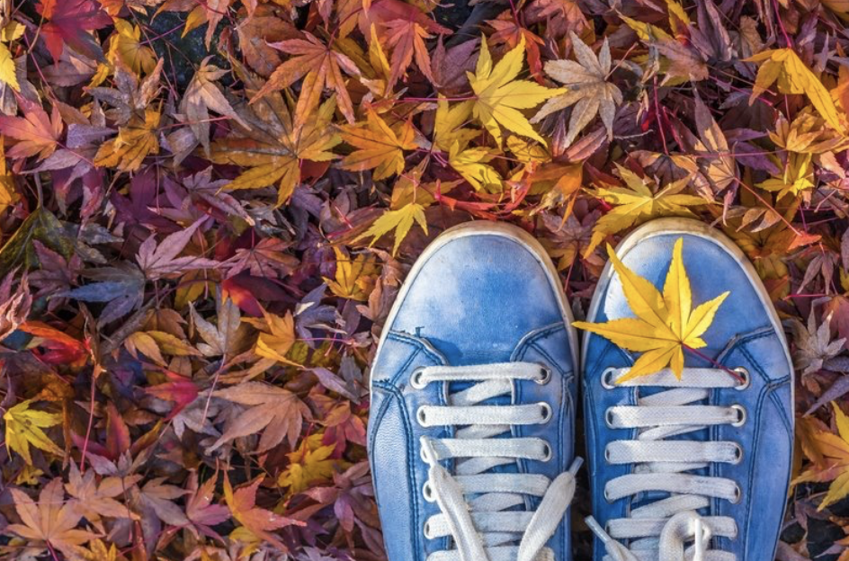 스크린샷 2020-01-19 오후 8.20.59.png