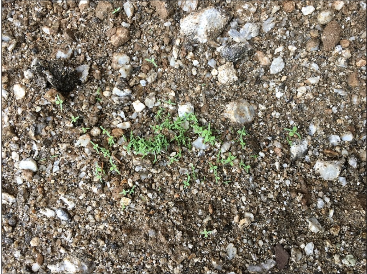 스크린샷 2018-08-13 오전 12.52.01.png