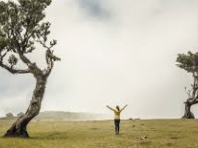 스크린샷 2025-03-19 오전 11.58.49.png