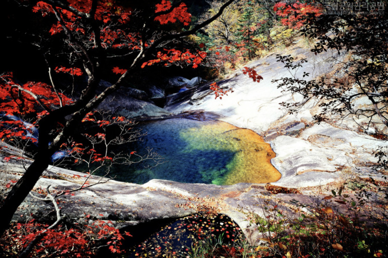 스크린샷 2018-08-13 오전 12.40.13.png