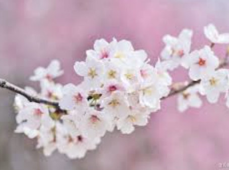 스크린샷 2025-04-08 오전 11.26.00.png