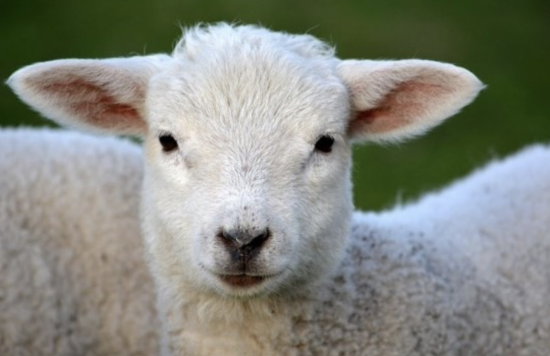 스크린샷 2019-05-15 오후 4.29.04.png