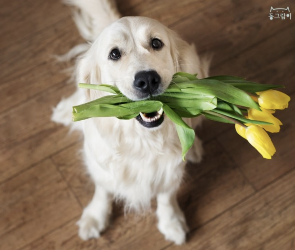 스크린샷 2018-08-21 오후 4.02.29.png