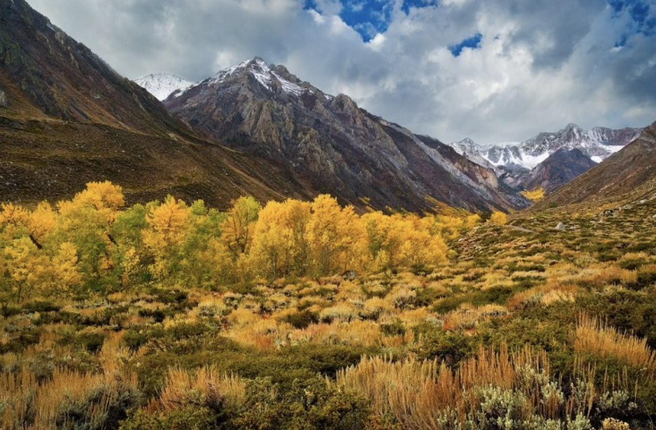 스크린샷 2018-04-26 오후 4.16.16.png