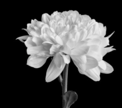 스크린샷 2025-01-30 오전 11.52.14.png