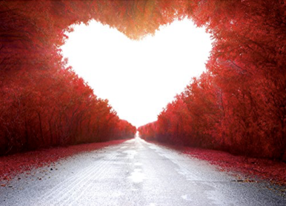 스크린샷 2018-09-21 오후 2.31.03.png