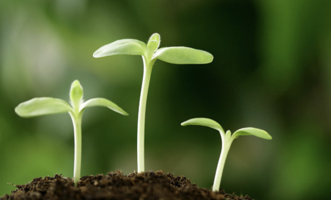 스크린샷 2019-05-20 오후 7.41.25.png