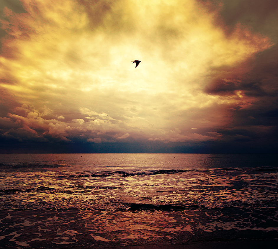 스크린샷 2018-05-17 오후 7.52.57.png