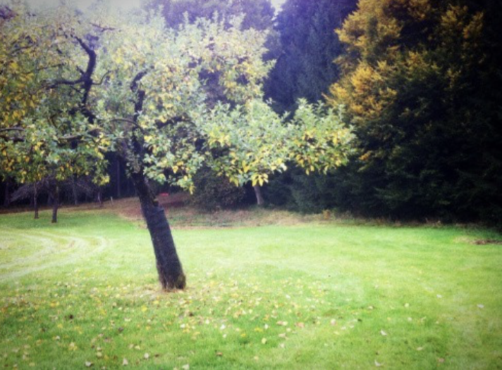 스크린샷 2020-05-25 오후 8.02.19.png