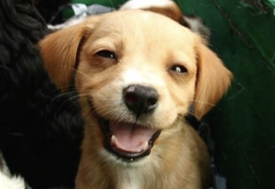 스크린샷 2019-04-15 오전 11.24.30.png