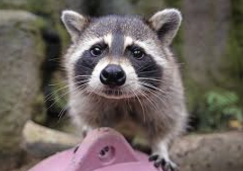 스크린샷 2025-03-18 오후 12.34.11.png